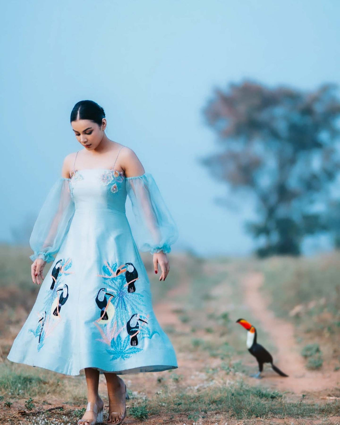 Toco toucan bird dress